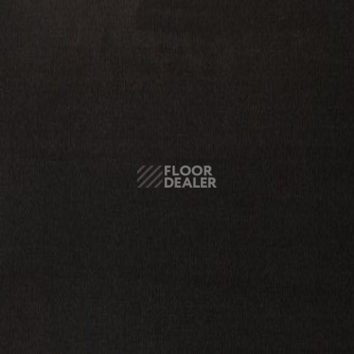 Ковролин Tapibel Casa 24855 фото 1 | FLOORDEALER