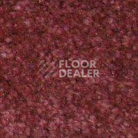 Ковролин Hidden Treasure Beaulie of America Rosewood 34 фото 1 | FLOORDEALER