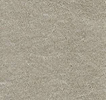 Ковролин AW Radiant 90 фото 1 | FLOORDEALER