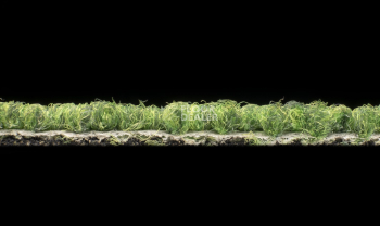 Desso Essence 7123 фото 3 | FLOORDEALER