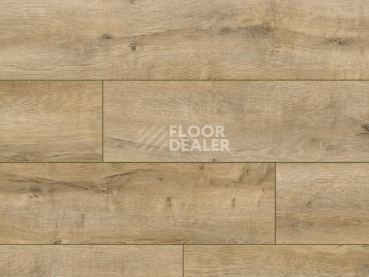 Ламинат Classen Arteo 8XL WR 54807 Connemara Oak /8XL фото 1 | FLOORDEALER