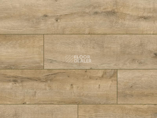 Ламинат Classen Arteo 8XL WR 54807 Connemara Oak /8XL фото 1 | FLOORDEALER