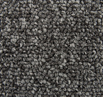 Standard Carpets Spectrum sm 577 фото 2 | FLOORDEALER