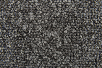 Standard Carpets Spectrum sm 577 фото 2 | FLOORDEALER