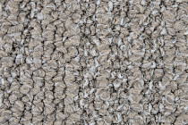 Desso AirMaster Reflection ac 58 9527 фото 4 | FLOORDEALER