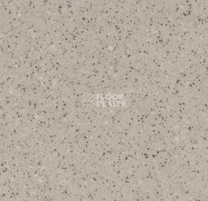 Линолеум Forbo Eternal Original 61062 greige smaragd фото 1 | FLOORDEALER