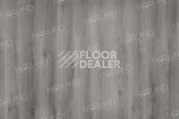 Виниловая плитка ПВХ Norland Neowood 8мм Templet 2001-8 фото 1 | FLOORDEALER