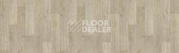 Линолеум Tarkett Taifun SAVOCA2 фото 1 | FLOORDEALER