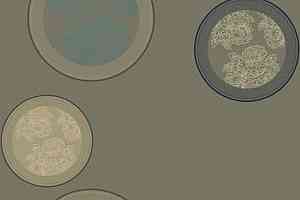 Ковролин Ege Highline Floorfashion by Muurbloem rf 5275D0030 фото  | FLOORDEALER