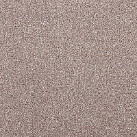 Ковровая плитка LCT Intrigo Intrigo r 019 810 фото 1 | FLOORDEALER