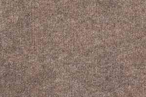 Ковролин Tarkett Ekonomik Plus EKONOMIK PLUS 176EP фото  | FLOORDEALER