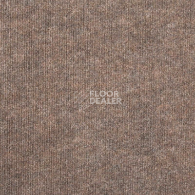 Ковролин Tarkett Ekonomik Plus EKONOMIK PLUS 176EP фото 1 | FLOORDEALER