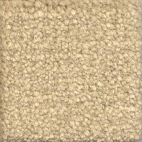 Emphatic Beaulieu of America 56100 фото 1 | FLOORDEALER