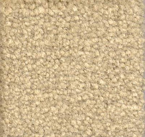 Ковролин Emphatic Beaulieu of America 56100 фото 1 | FLOORDEALER