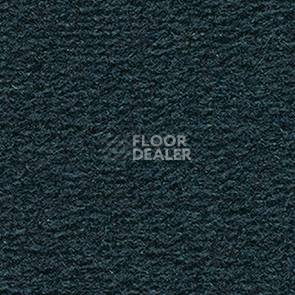 Ковролин Balsan Altitude Altitude 980 фото 1 | FLOORDEALER