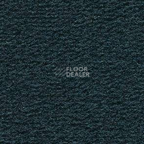 Ковролин Balsan Altitude Altitude 980 фото 1 | FLOORDEALER