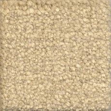 Emphatic Beaulieu of America 56100 фото 1 | FLOORDEALER