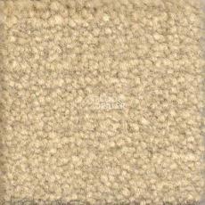 Ковролин Emphatic Beaulieu of America 56100 фото 1 | FLOORDEALER