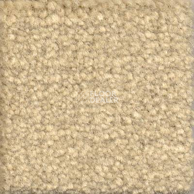 Ковролин Emphatic Beaulieu of America 56100 фото 1 | FLOORDEALER