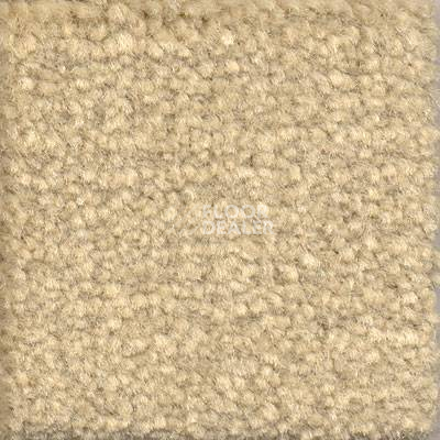 Ковролин Emphatic Beaulieu of America 56100 фото 1 | FLOORDEALER