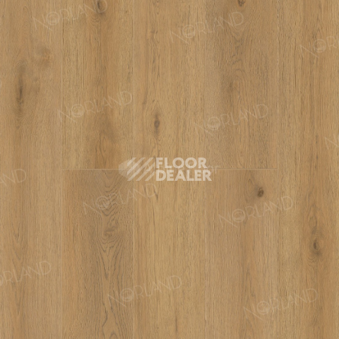 Кварцвиниловые полы Norland Sigrid  LVT 2мм Blake 1003-2 фото 1 | FLOORDEALER