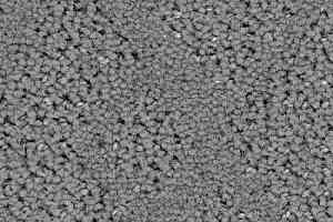 Ковролин Balsan Riziere 920 фото  | FLOORDEALER