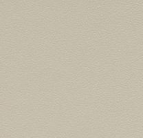 Линолеум Forbo SafeStep Aqua 180312 mortar фото 1 | FLOORDEALER