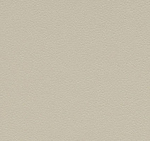 Линолеум Forbo SafeStep Aqua 180312 mortar фото 1 | FLOORDEALER