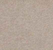 Ковролин Shaw all That Jazz 21146 фото 1 | FLOORDEALER