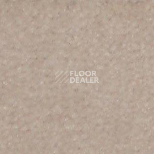 Ковролин Shaw all That Jazz 21146 фото 1 | FLOORDEALER