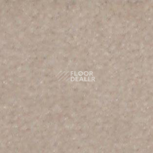 Ковролин Shaw all That Jazz 21146 фото 1 | FLOORDEALER