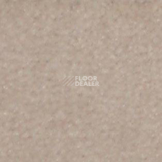 Ковролин Shaw all That Jazz 21146 фото 1 | FLOORDEALER