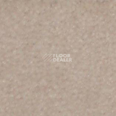 Ковролин Shaw all That Jazz 21146 фото 1 | FLOORDEALER