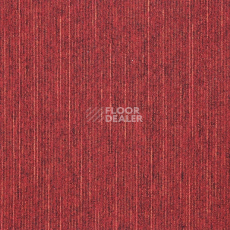 Ковровая плитка InnovFlor Space D Space d 08 фото 1 | FLOORDEALER