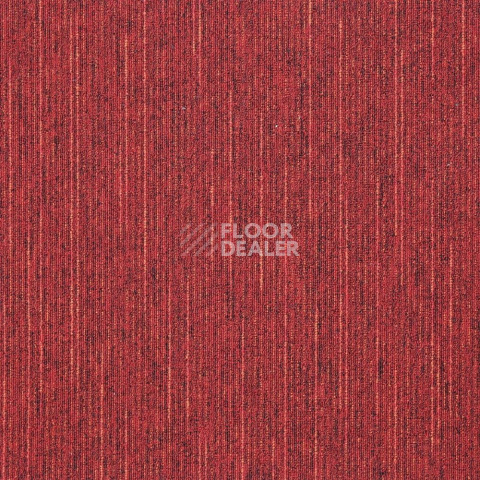 Ковровая плитка InnovFlor Space D Space d 08 фото 1 | FLOORDEALER