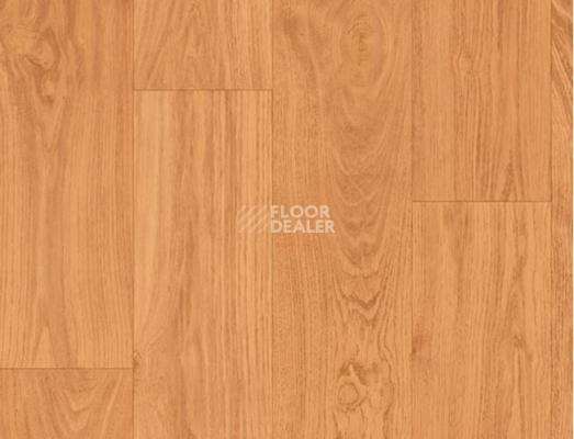 Линолеум Grabo Terrana 22 4181-252-4 фото 1 | FLOORDEALER