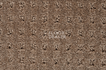 Balsan Territoires Atrium 661 фото 3 | FLOORDEALER