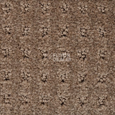 Balsan Territoires Atrium 661 фото 3 | FLOORDEALER