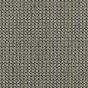 Ковролин Carpet Concept Goi 4 290105  | FLOORDEALER