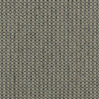 Ковролин Carpet Concept Goi 4 290105 фото 1 | FLOORDEALER