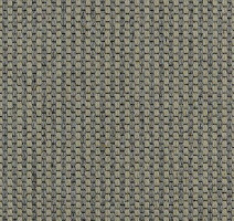 Ковролин Carpet Concept Goi 4 290105 фото 1 | FLOORDEALER
