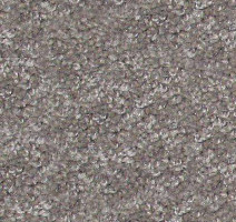 Ковролин Hidden Treasure Beaulie of America Seal 11 фото 1 | FLOORDEALER