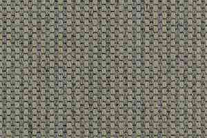 Ковролин Carpet Concept Goi 4 290105 фото  | FLOORDEALER