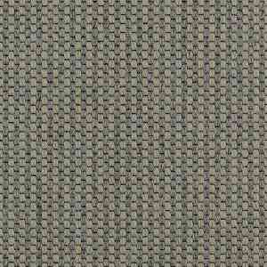 Ковролин Carpet Concept Goi 4 290105 фото ##numphoto## | FLOORDEALER