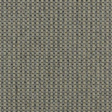 Ковролин Carpet Concept Goi 4 290105 фото 1 | FLOORDEALER