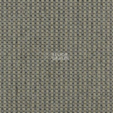 Ковролин Carpet Concept Goi 4 290105 фото 1 | FLOORDEALER