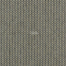 Carpet Concept Goi 4 290105 фото 1 | FLOORDEALER