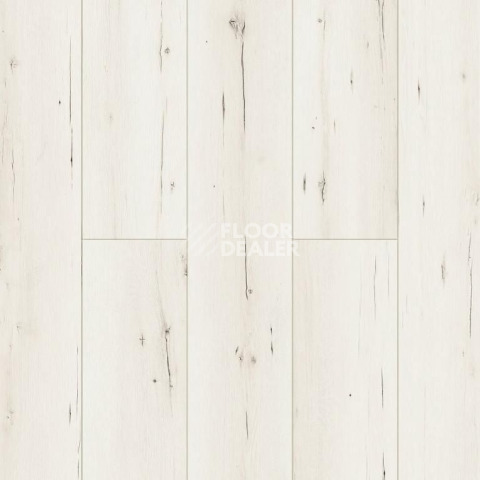 Alpine Floor Aqua Life XL 8мм LF104-01 ДУБ БАЙКАЛ фото 1 | FLOORDEALER