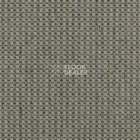 Ковролин Carpet Concept Goi 4 290105 фото 1 | FLOORDEALER