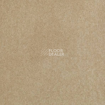 Ковролин Mohawk Lounge 230 фото 1 | FLOORDEALER